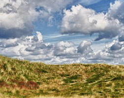 Blick von oben auf die Dünen von Nr. Lyngvig und die Nordsee